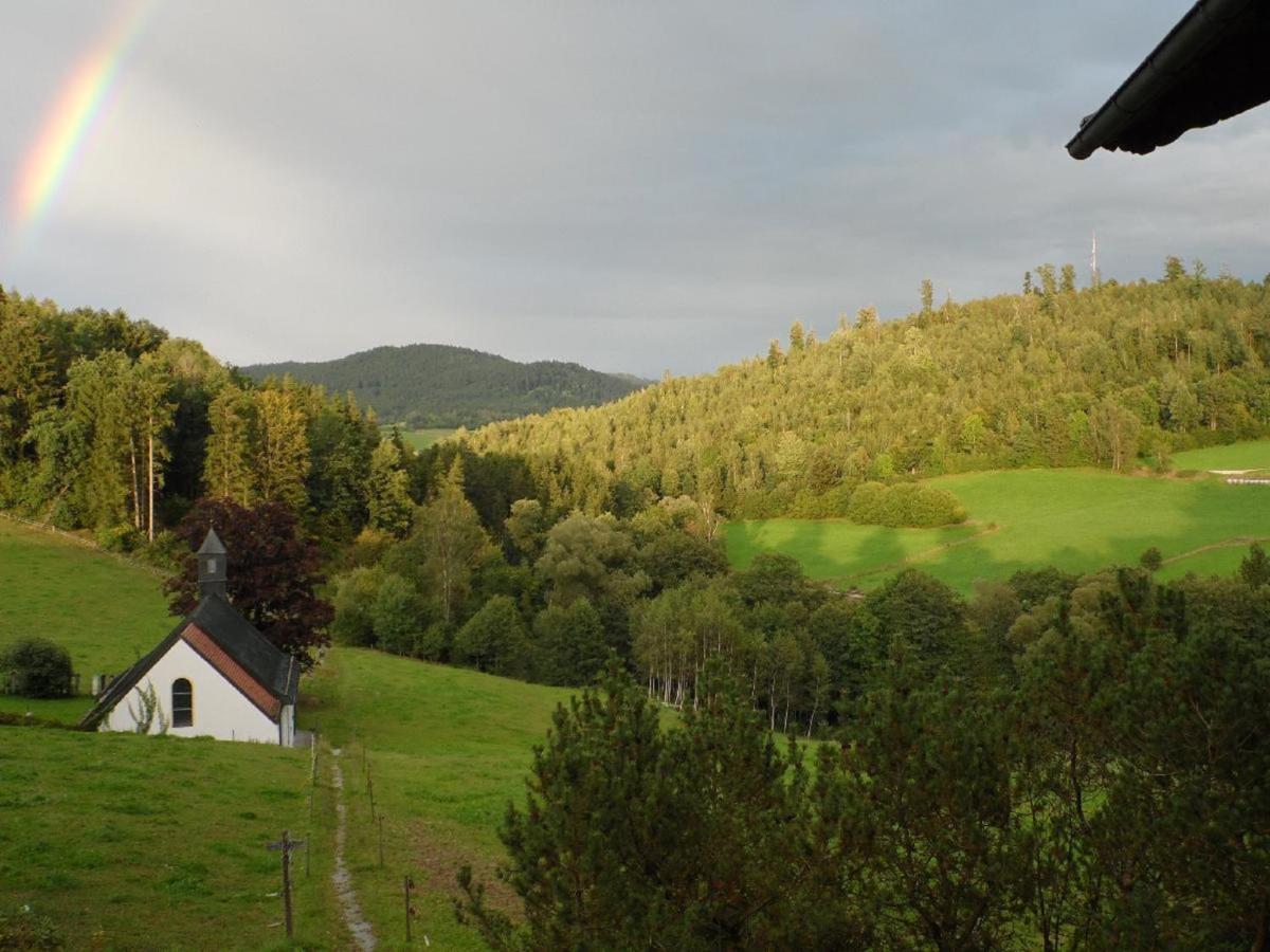 Апартаменты Haus Am Osterbruennl Ruhmannsfelden Экстерьер фото